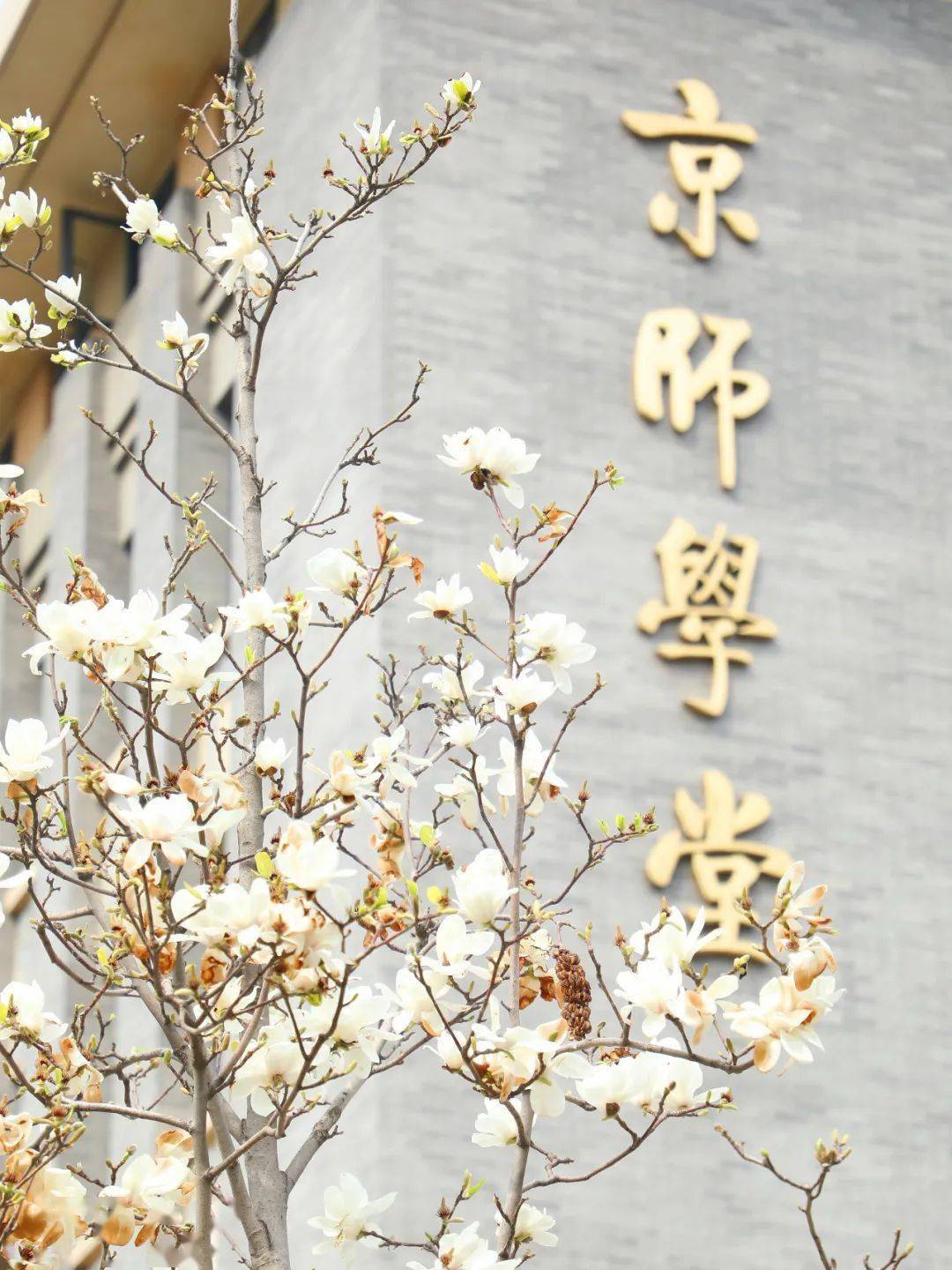 北京师范大学是985还是211