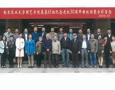 南京农业大学毕业证补办流程