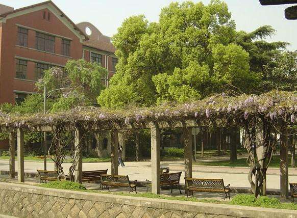 同济大学文凭含金量