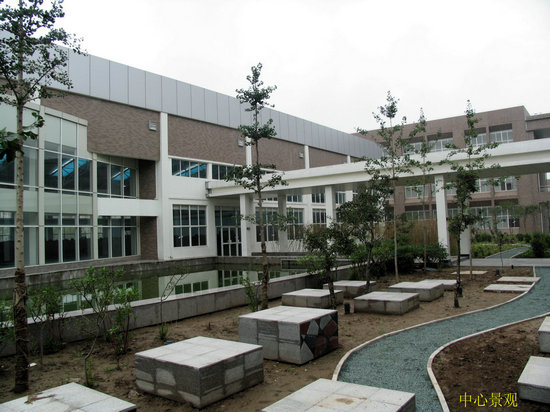 电子科技大学毕业证样本