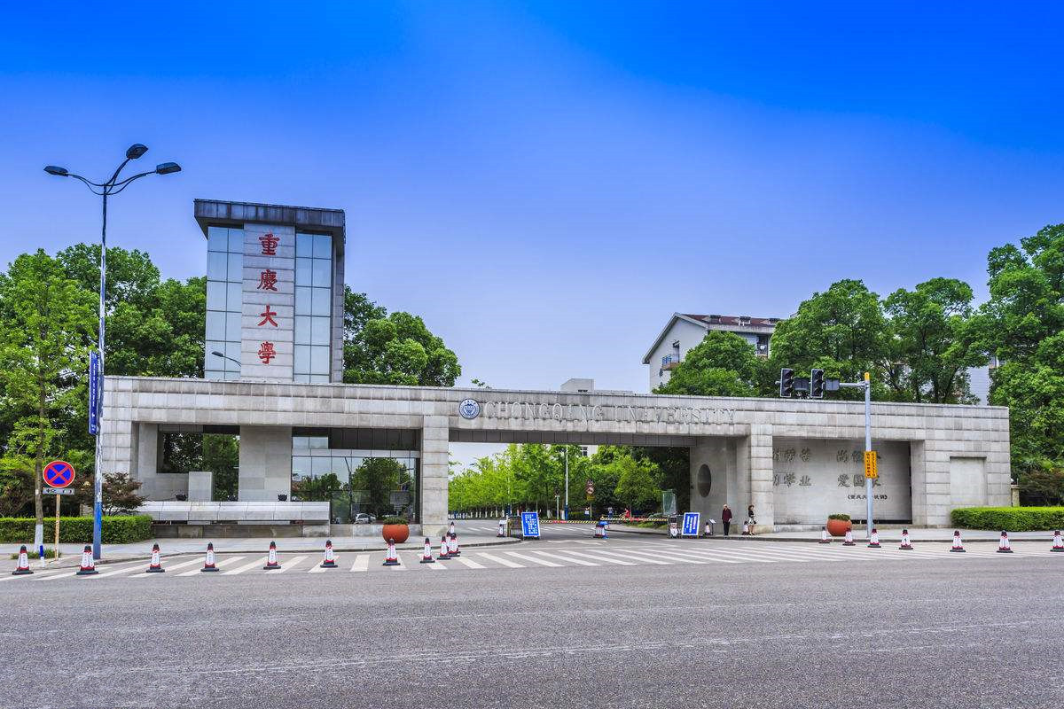 重庆大学生掉进化粪池