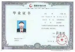 新疆大学文凭在上海认可吗