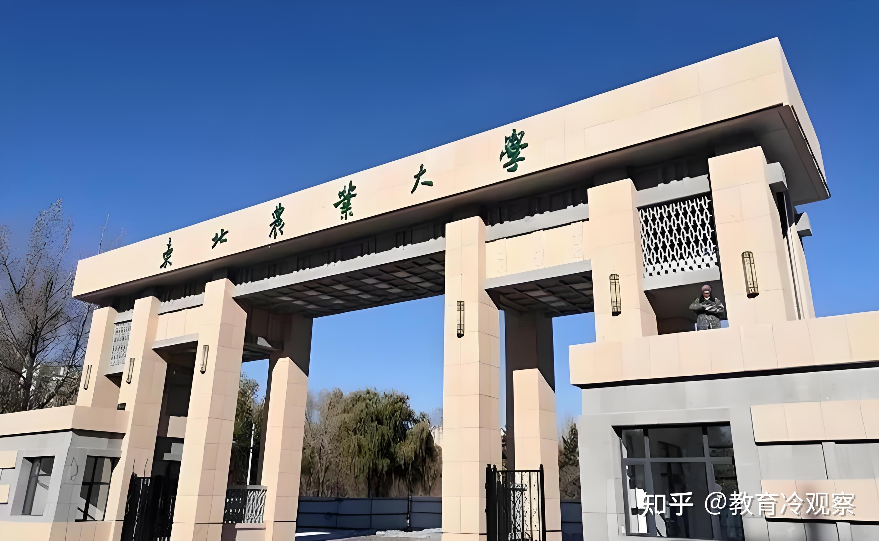 东北林业大学林学院