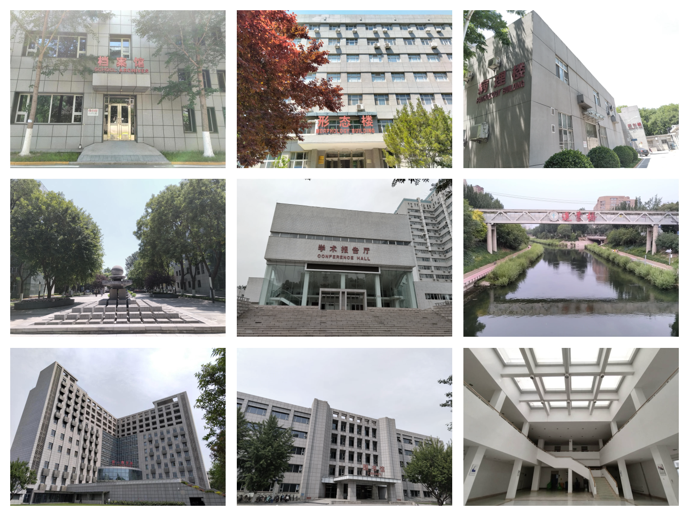 首都医科大学录取分数线2025