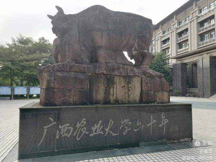广西大学教师信息网