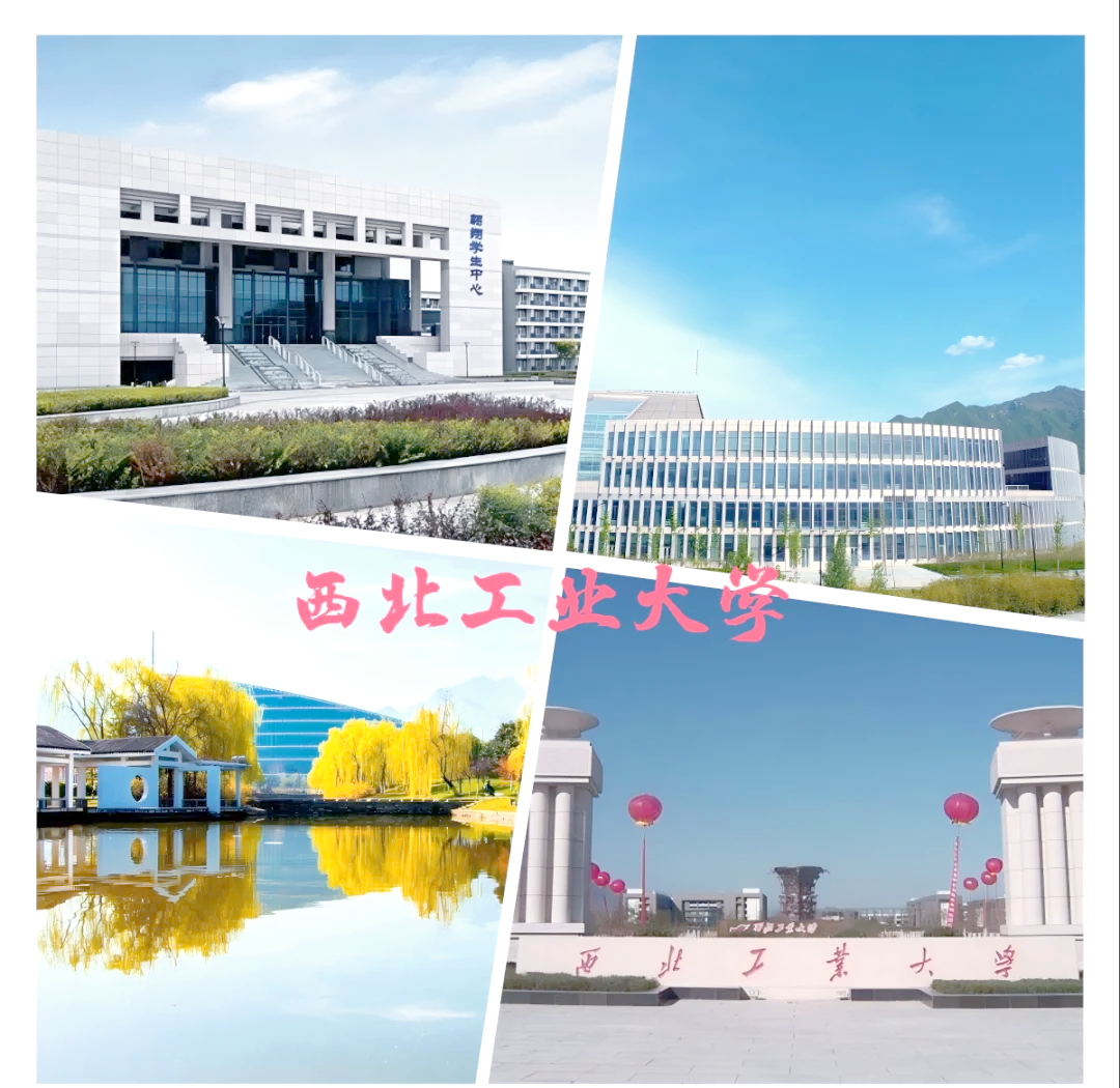 西北工业大学排名全国第几位