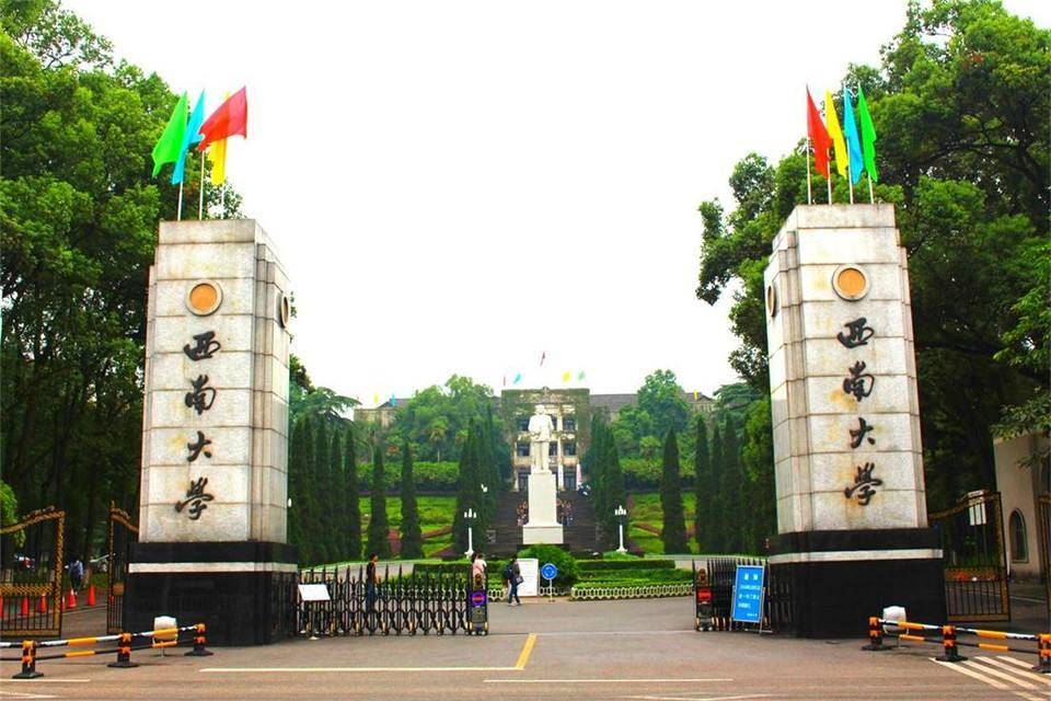 西南大学2025分数线