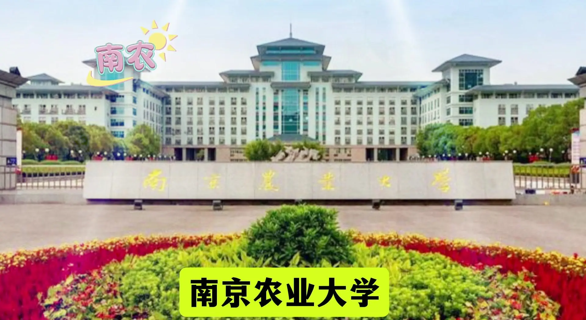 南京农业大学2025年录取分数