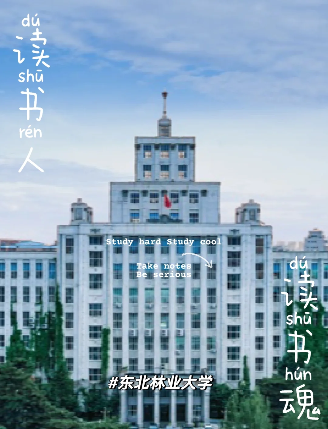 东北林业大学教务系统